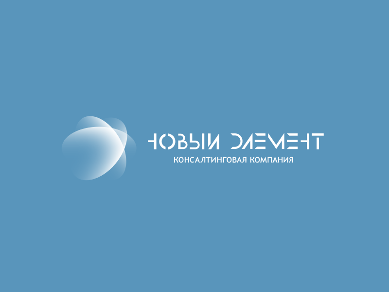 Консалтинговая компания «Новый Элемент» 