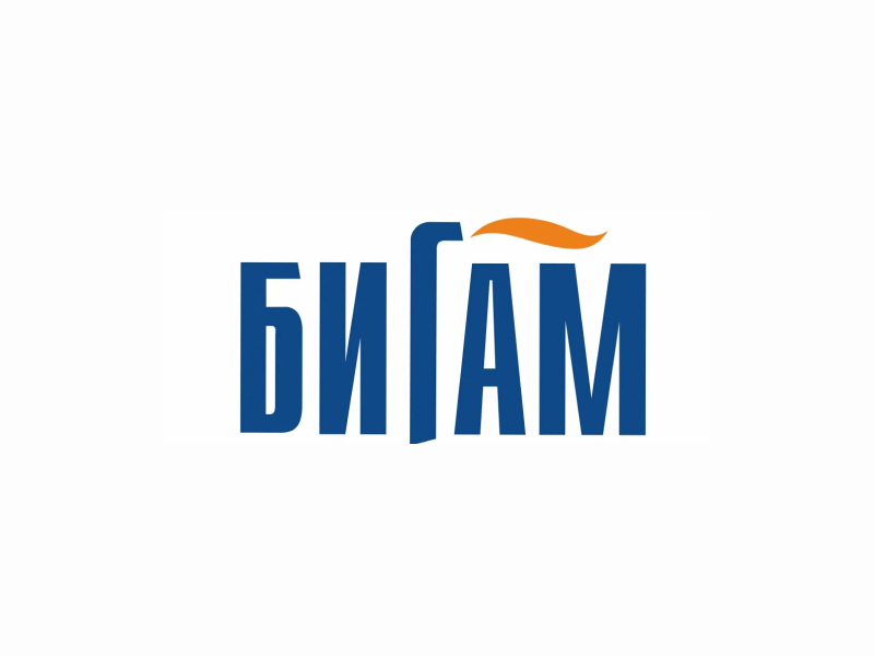 Интернет-магазин для «Бигам» Интернет-магазин для «Бигам»